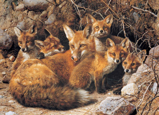 (image for) Handmade oil painting Copy paintings of famous artists Carl Brenders Paintings Full House-Fox Family